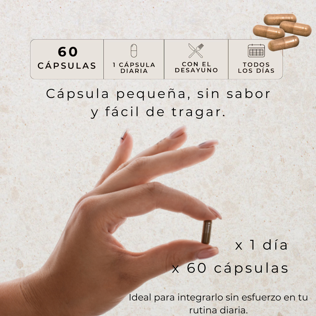 IBERDROL -  Antioxidante + Antiinflamatorio Celular. Bienestar Profundo.