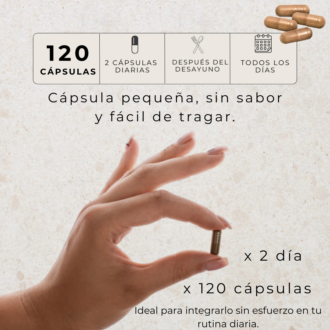 IBERVITAL - Belleza, Energia, Y Renovación Desde Dentro.