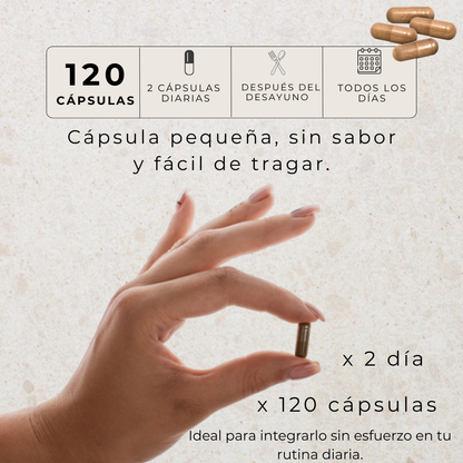 IBERVITAL - Belleza, Energia, Y Renovación Desde Dentro.